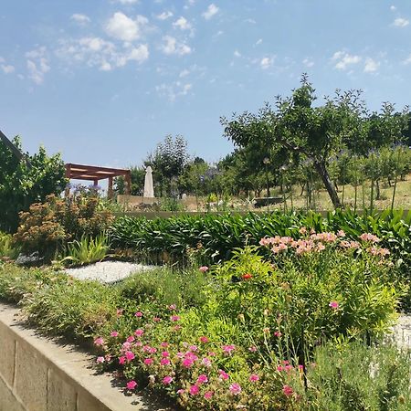 Quinta Do Retiro Guest House Felgar Eksteriør bilde