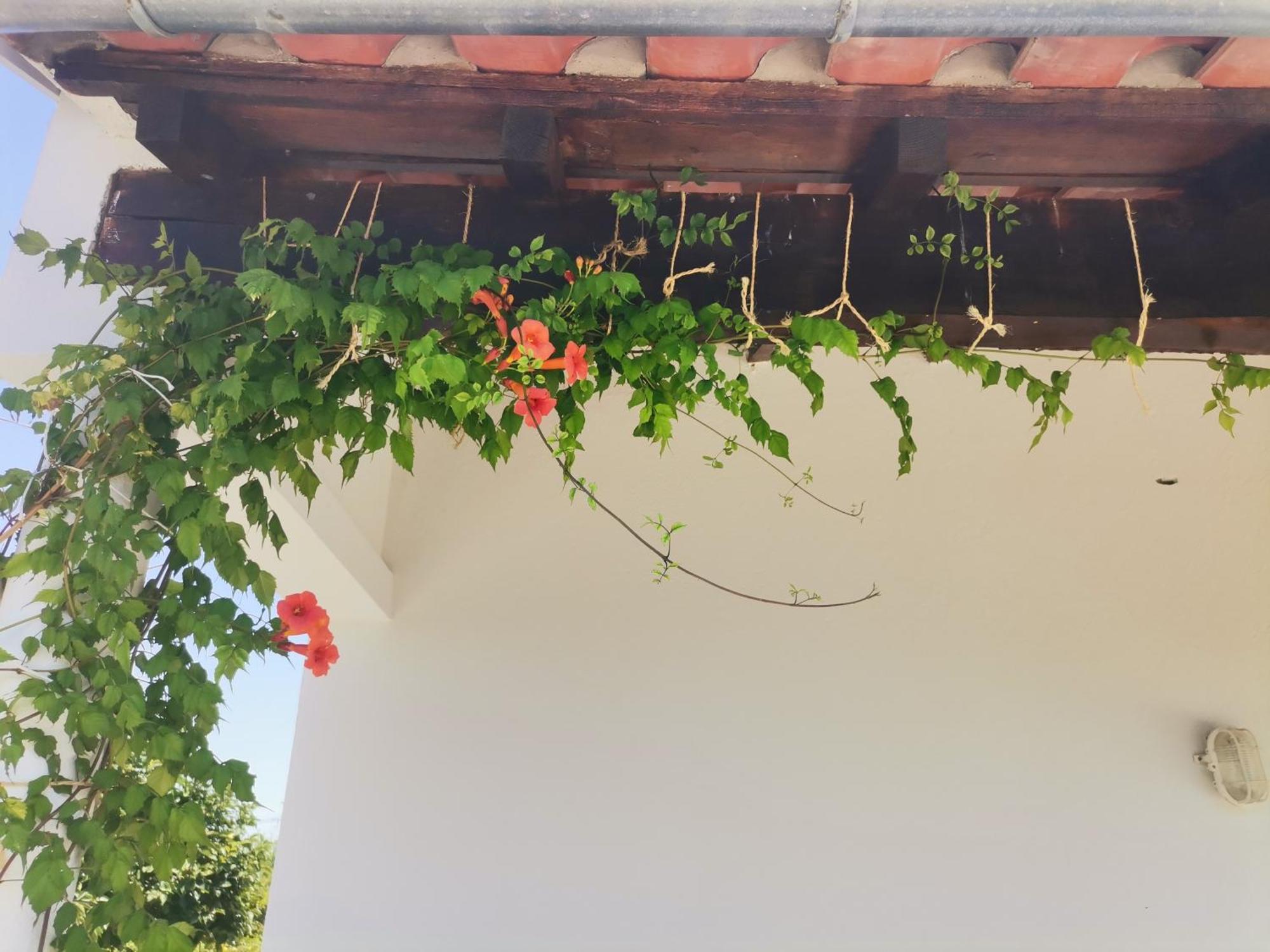 Quinta Do Retiro Guest House Felgar Eksteriør bilde